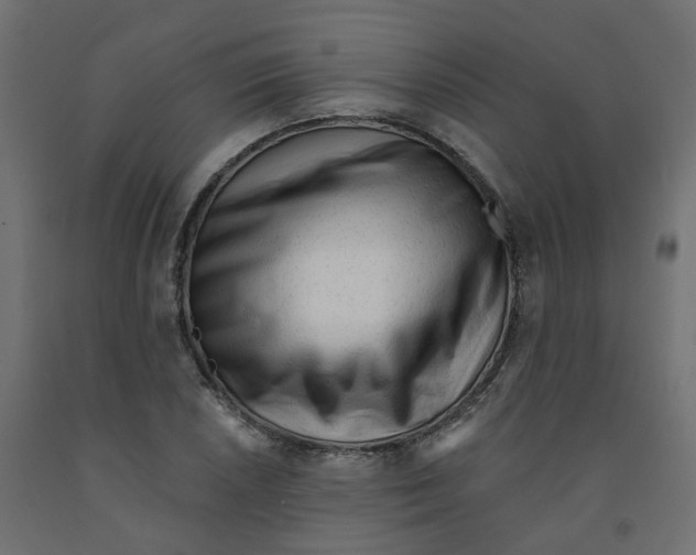 X0000091971026200710041044