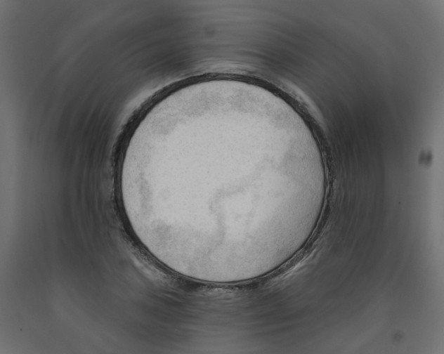 X0000091971027200710041044