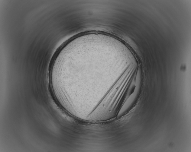 X0000091971028200710041044