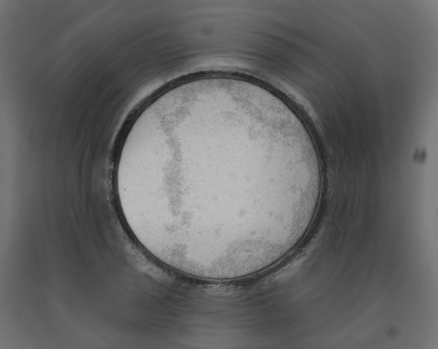 X0000091971029200710041044