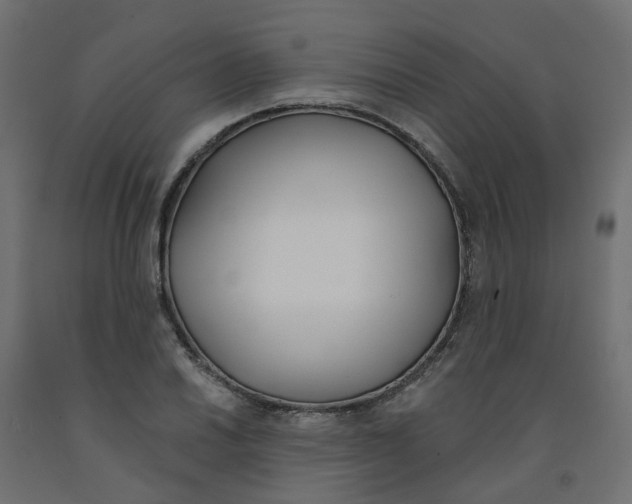 X0000091971030200710041044