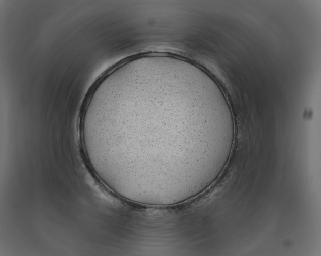 X0000091971032200710041044