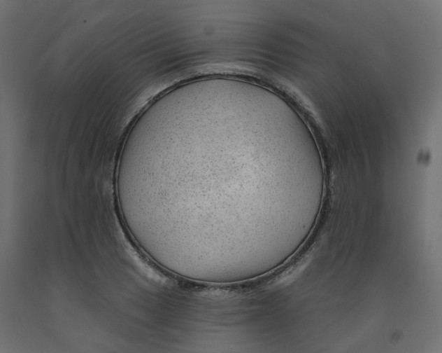 X0000091971033200710041044