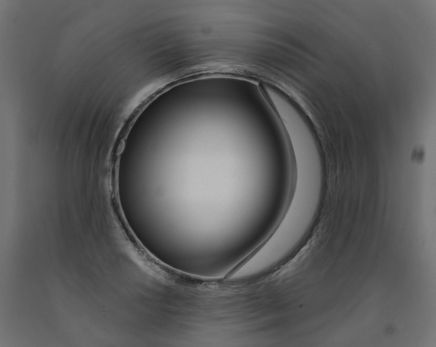 X0000091971034200710041045