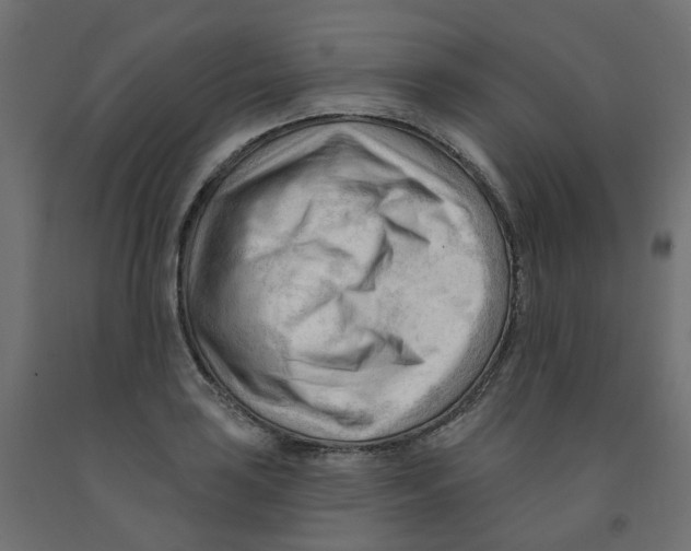X0000091971035200710041045