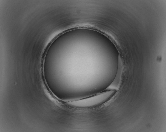 X0000091971038200710041045