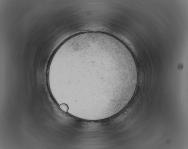 X0000091971039200710041045