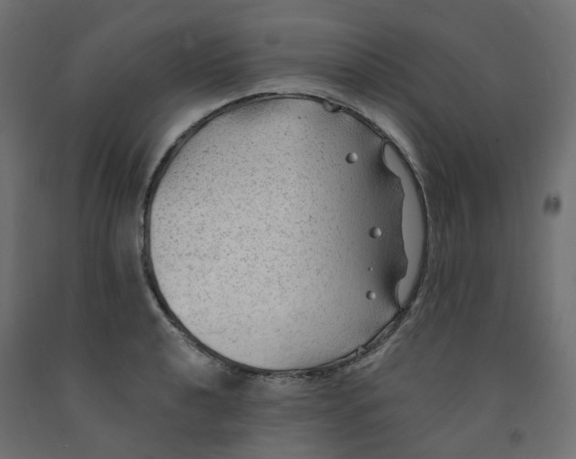 X0000091971040200710041045