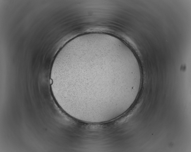 X0000091971041200710041045