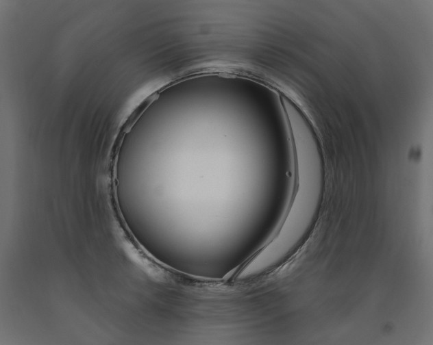 X0000091971042200710041045