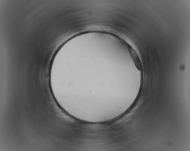 X0000091971045200710041045