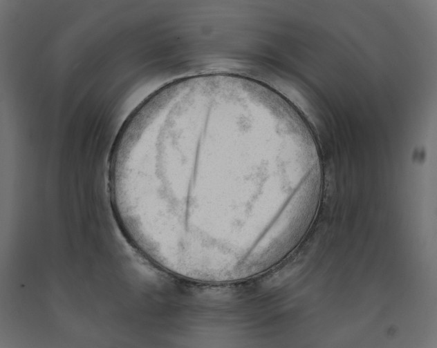X0000091971047200710041045