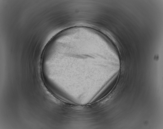 X0000091971048200710041045