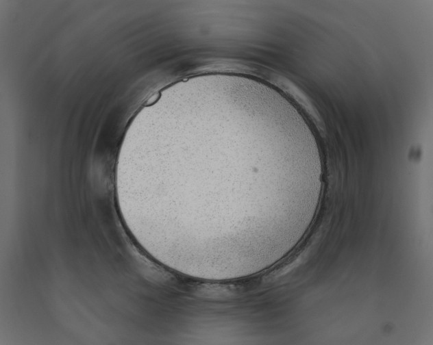 X0000091971049200710041045