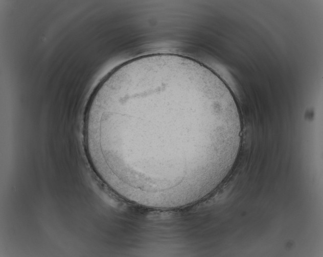 X0000091971051200710041045