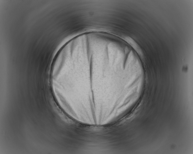 X0000091971052200710041045