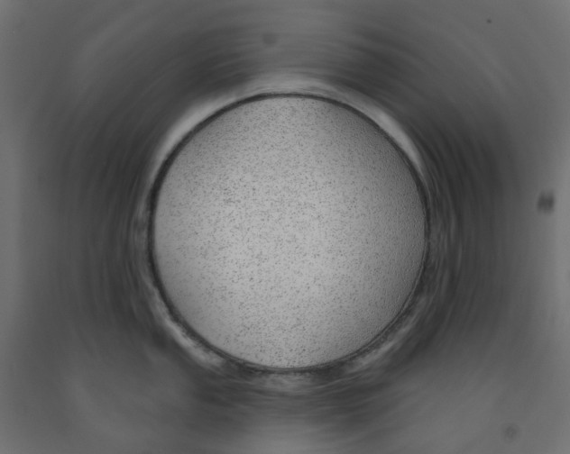 X0000091971053200710041045