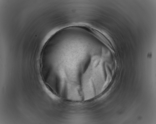 X0000091971054200710041045