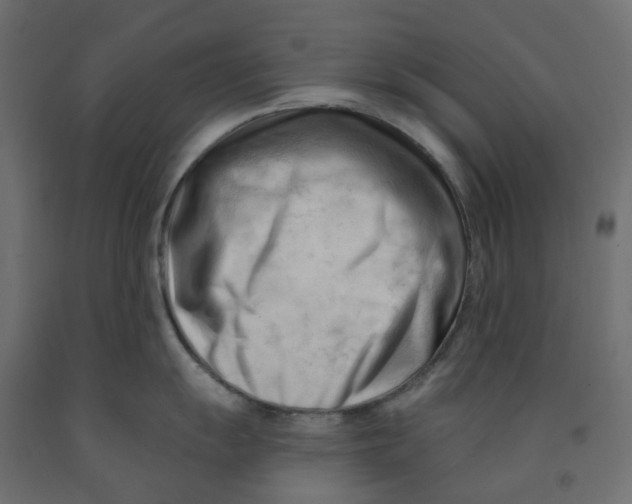 X0000091971055200710041045
