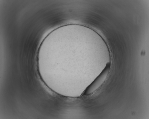 X0000091971056200710041045
