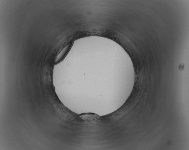 X0000091971058200710041044