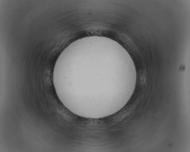 X0000091971060200710041044