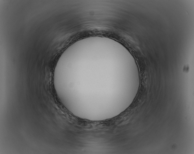 X0000091971061200710041044