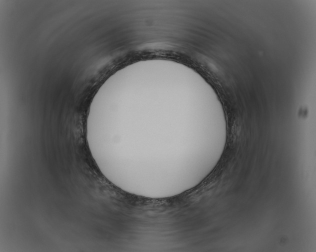 X0000091971062200710041044