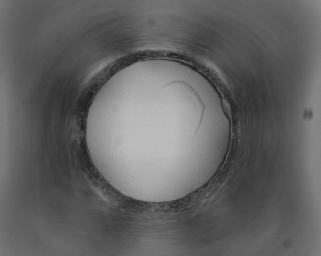 X0000091971064200710041044