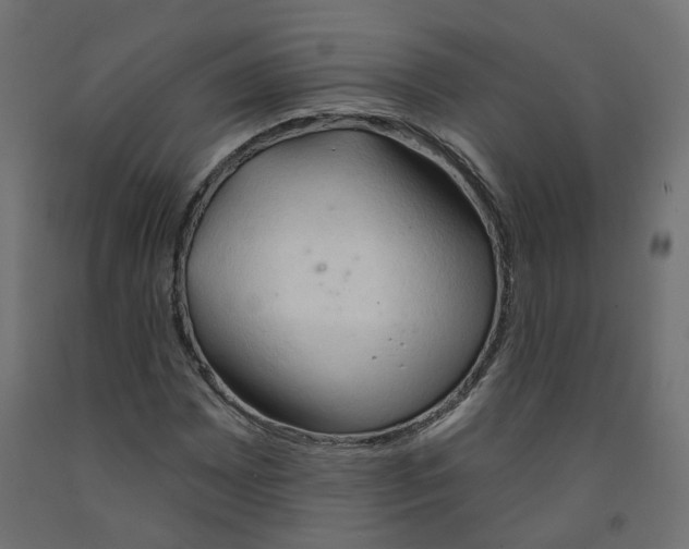X0000091971065200710041044