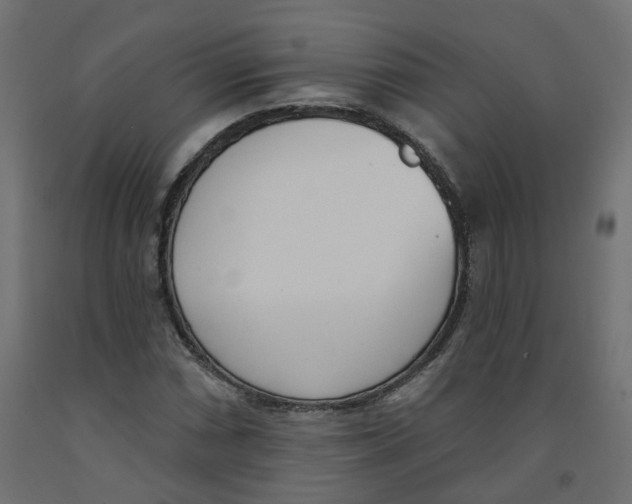 X0000091971066200710041044