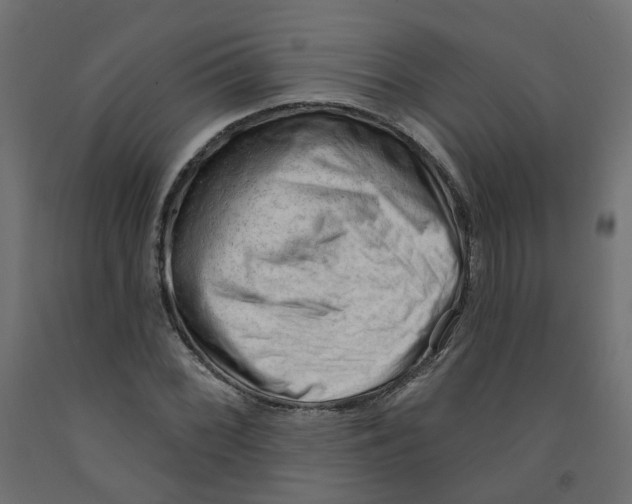 X0000091971068200710041044