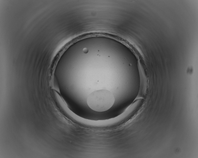 X0000091971069200710041044