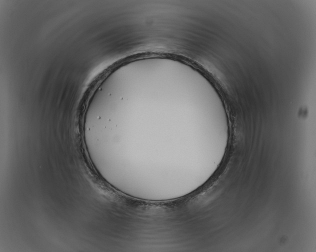 X0000091971070200710041044