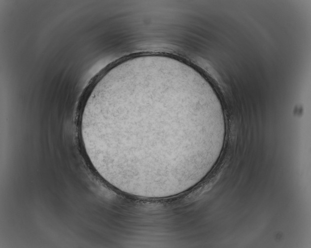 X0000091971071200710041044
