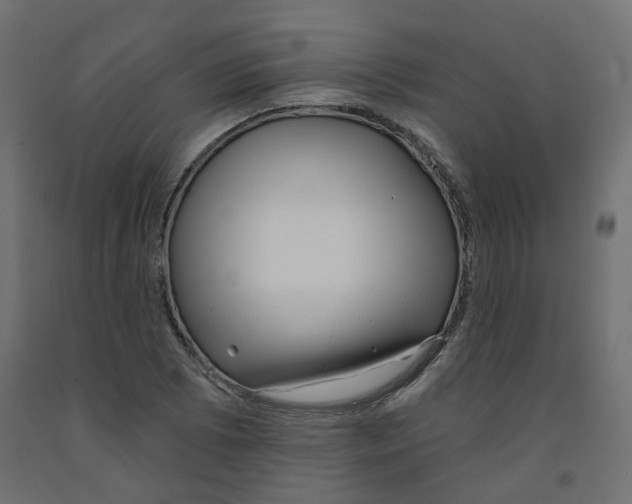 X0000091971073200710041044