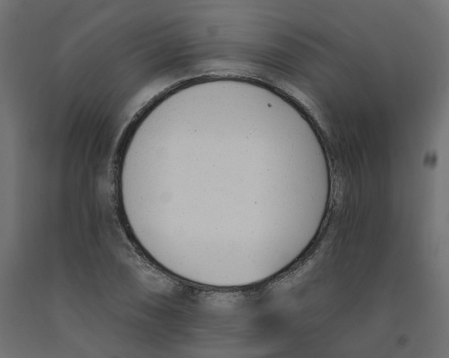 X0000091971074200710041044