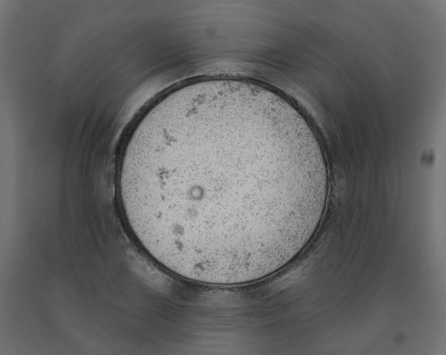 X0000091971075200710041044