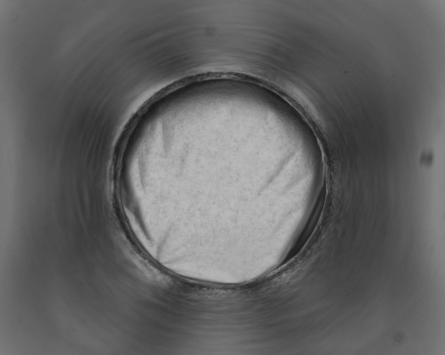 X0000091971076200710041044