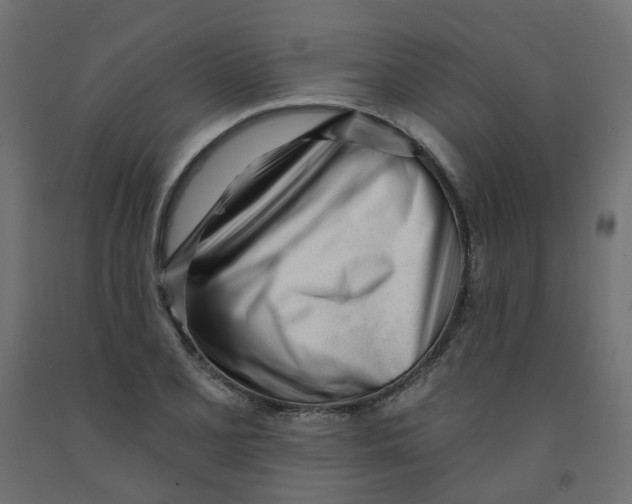 X0000091971077200710041044