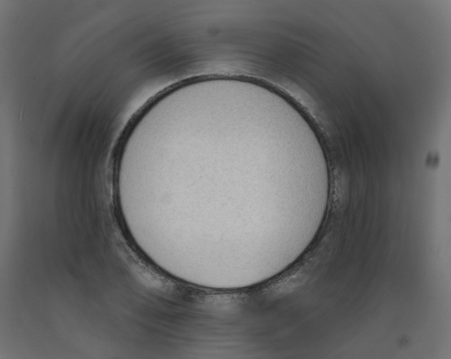 X0000091971078200710041044