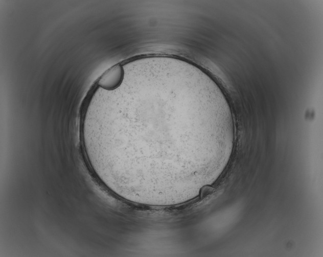 X0000091971079200710041044