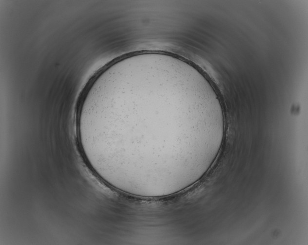 X0000091971080200710041044