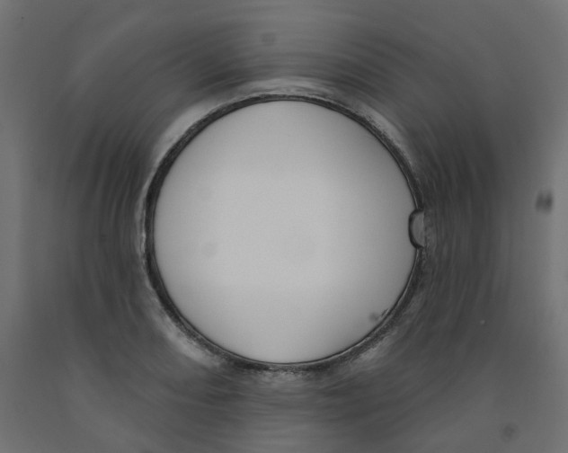 X0000091971082200710041044