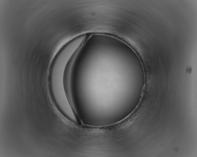 X0000091971085200710041044