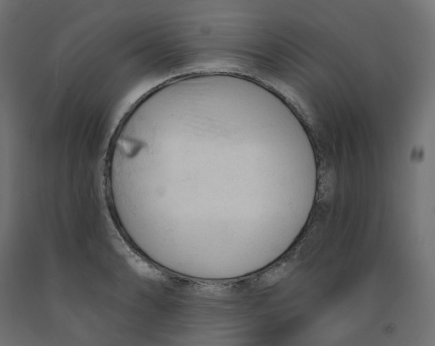 X0000091971086200710041044