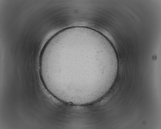 X0000091971088200710041044