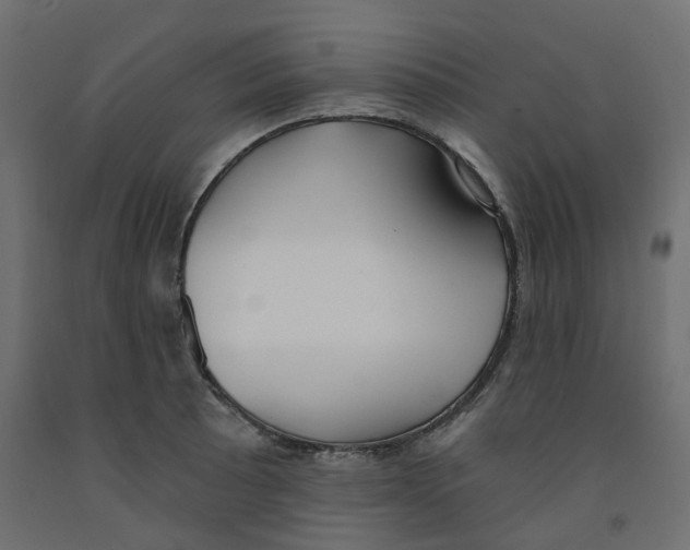 X0000091971089200710041044