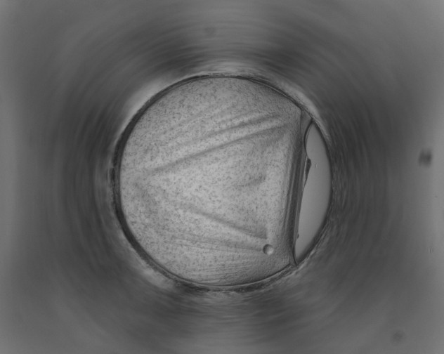 X0000091971091200710041044