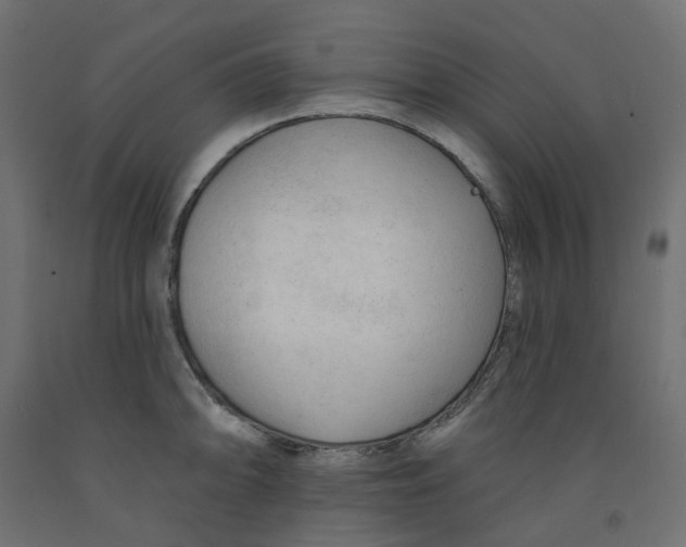X0000091971094200710041044